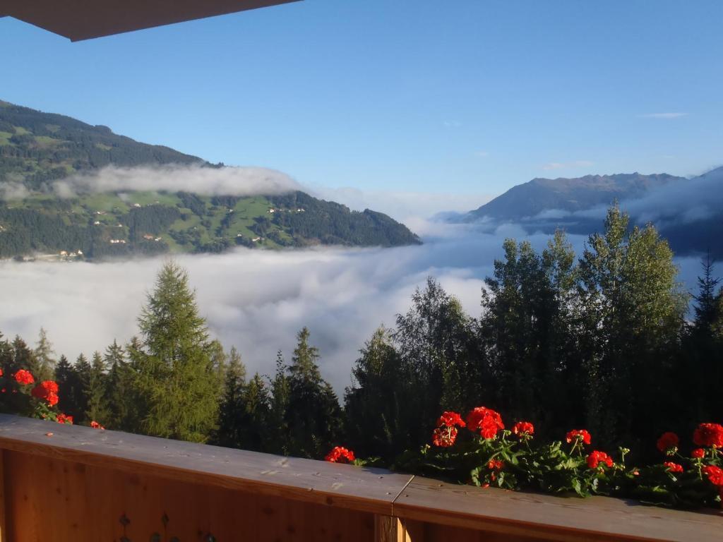 Landhaus Alpenjaeger Hainzenberg Habitación foto